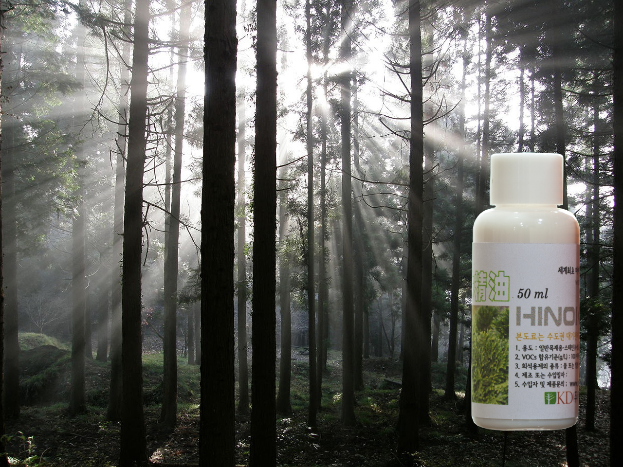 히노끼메이트와숲.jpg